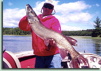 muskie